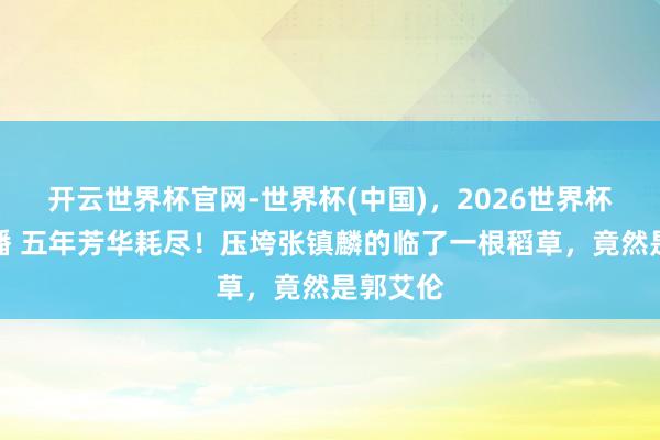 开云世界杯官网-世界杯(中国)，2026世界杯文字直播 五年芳华耗尽！压垮张镇麟的临了一根稻草，竟然是郭艾伦