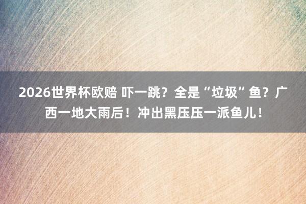 2026世界杯欧赔 吓一跳？全是“垃圾”鱼？广西一地大雨后！冲出黑压压一派鱼儿！