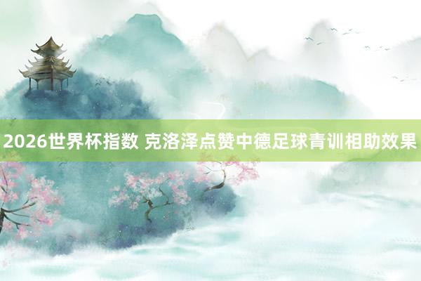 2026世界杯指数 克洛泽点赞中德足球青训相助效果