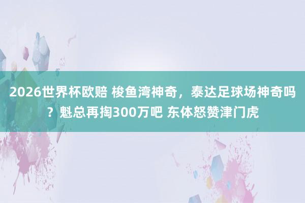 2026世界杯欧赔 梭鱼湾神奇，泰达足球场神奇吗？魁总再掏300万吧 东体怒赞津门虎