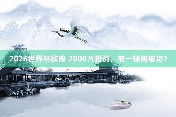 2026世界杯欧赔 2000万投资，被一棵树破功？