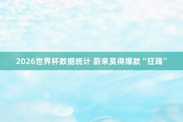 2026世界杯数据统计 蔚来莫得爆款“狂躁”