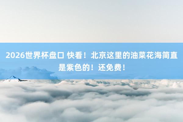 2026世界杯盘口 快看！北京这里的油菜花海简直是紫色的！还免费！