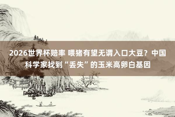 2026世界杯赔率 喂猪有望无谓入口大豆？中国科学家找到“丢失”的玉米高卵白基因