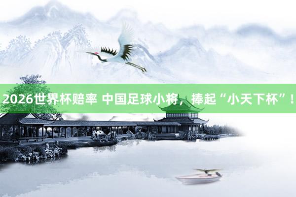 2026世界杯赔率 中国足球小将，捧起“小天下杯”！