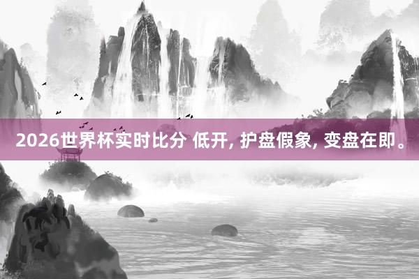 2026世界杯实时比分 低开， 护盘假象， 变盘在即。