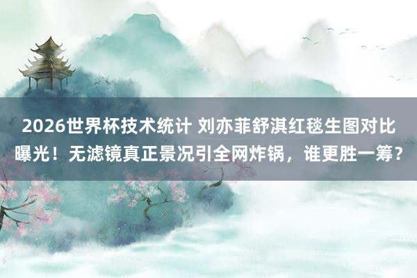 2026世界杯技术统计 刘亦菲舒淇红毯生图对比曝光！无滤镜真正景况引全网炸锅，谁更胜一筹？