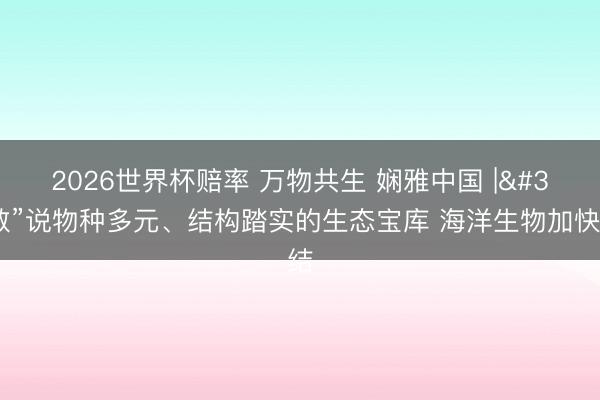 2026世界杯赔率 万物共生 娴雅中国 | “数”说物种多元、结构踏实的生态宝库 海洋生物加快总结