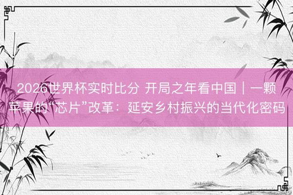 2026世界杯实时比分 开局之年看中国|一颗苹果的“芯片”改革:延安乡村振兴的当代化密码